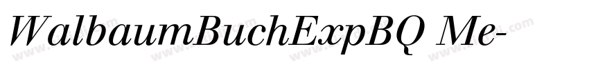 WalbaumBuchExpBQ Me字体转换